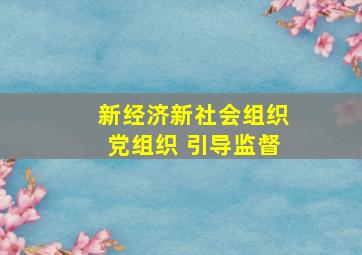 新经济新社会组织党组织 引导监督